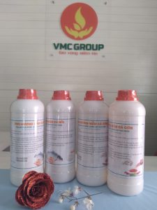 HƯƠNG NƯỚC MẮM CÁ CƠM VMC